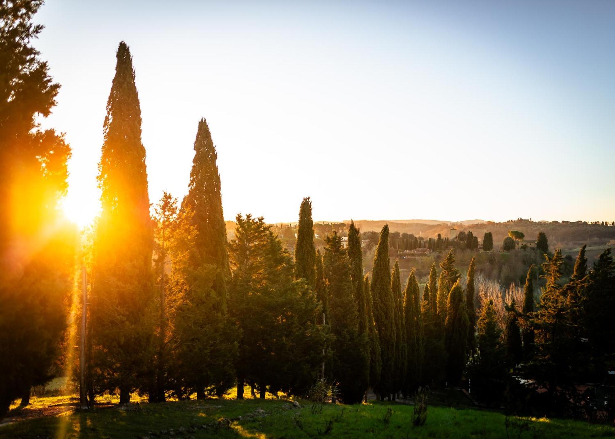 Borgo Il Poggio Agritourismo Βίλα Montaione Εξωτερικό φωτογραφία